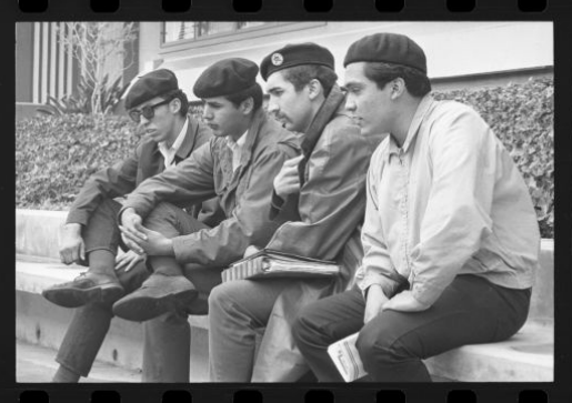 Brown berets 2020 image