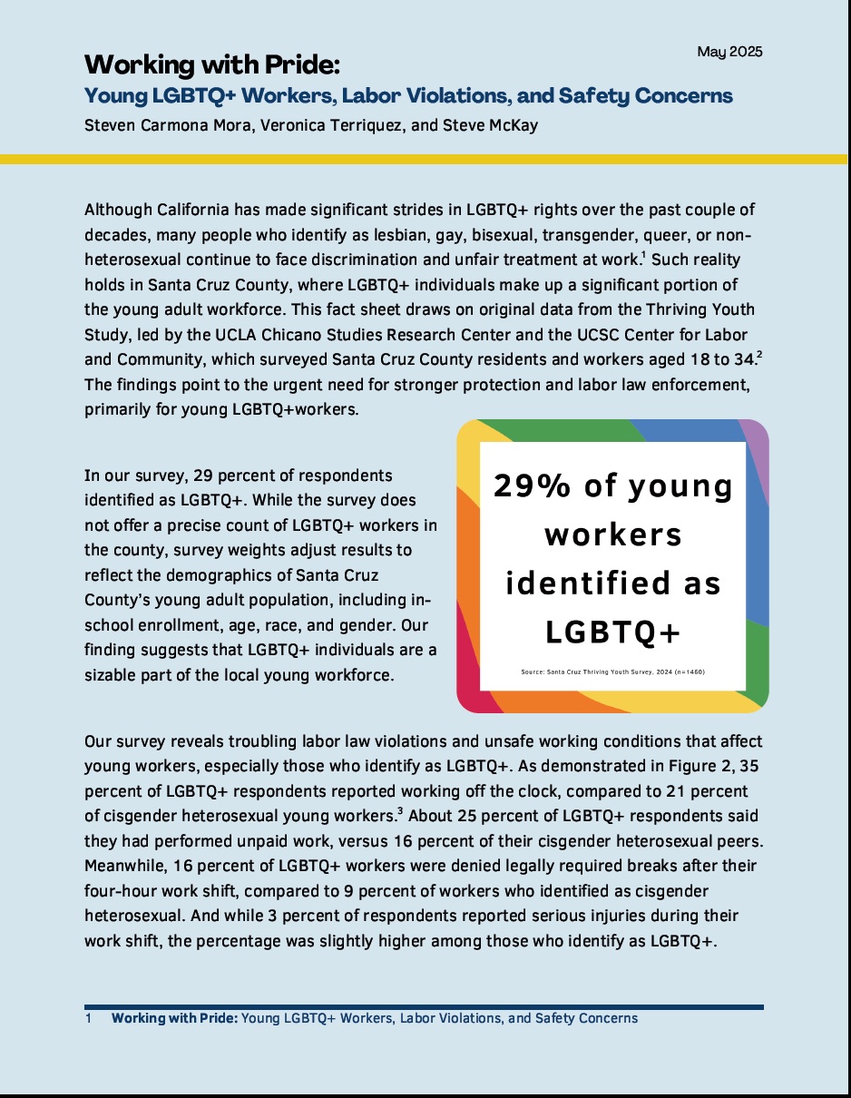 Research brief cover with light blue background, black text, and a graphic with a rainbow border stating that 29% of respondents identify as LGBTQ+.