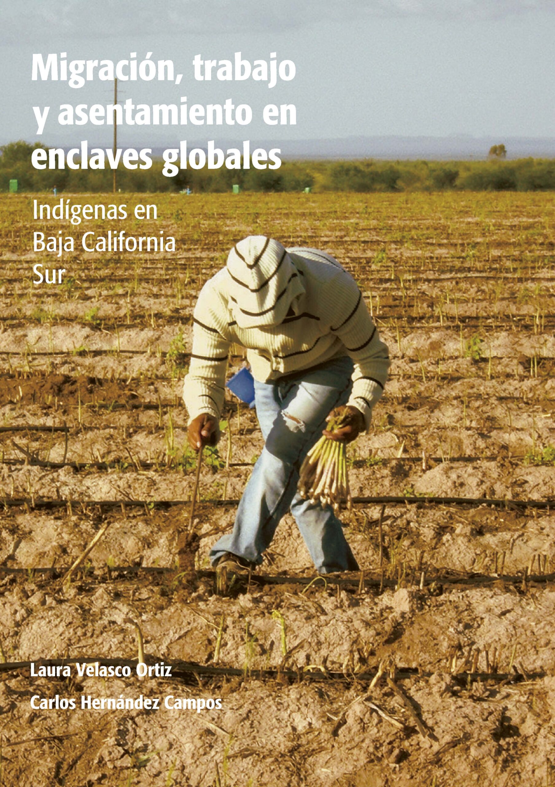 Book Talk: Laura Velasco Ortiz and Carlos Hernández Campos present “Migración, trabajo y asentamiento en enclaves globales: Indígenas en Baja California Sur”