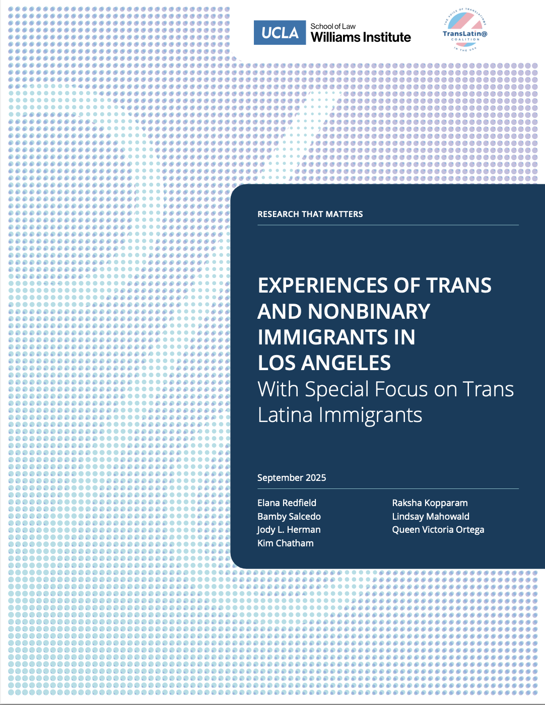 Report cover illustrated with blue dotted background and a dark blue box with report title and authors in light blue text.