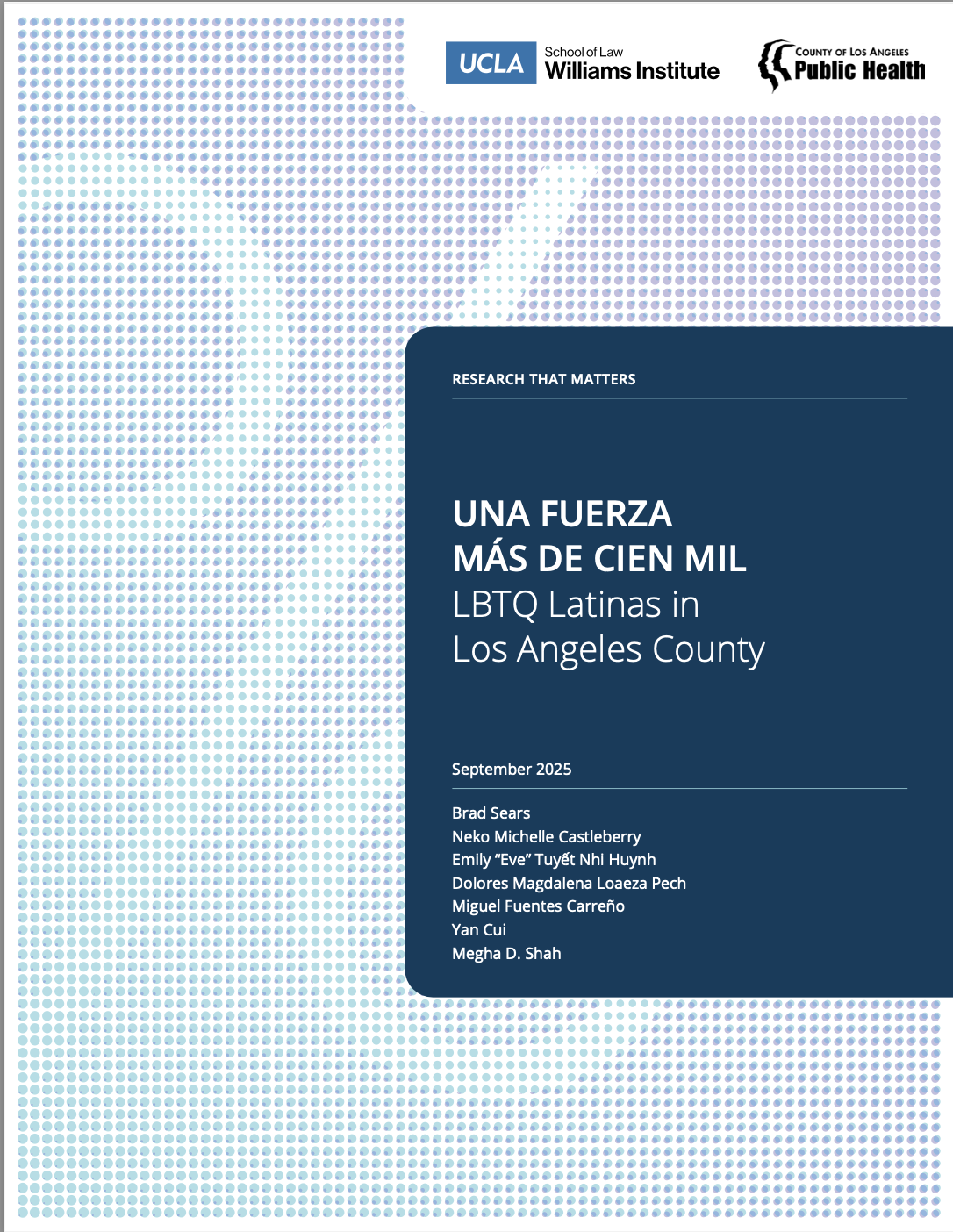 Report cover illustrated with blue dotted background and a dark blue box showing the report title and authors in light blue text.