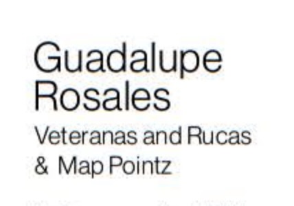 Guadalupe Rosales: Veteranas and Rucas & Map Pointz
